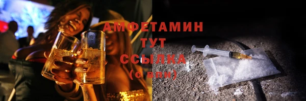 индика Балахна