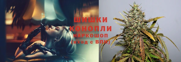 индика Балахна