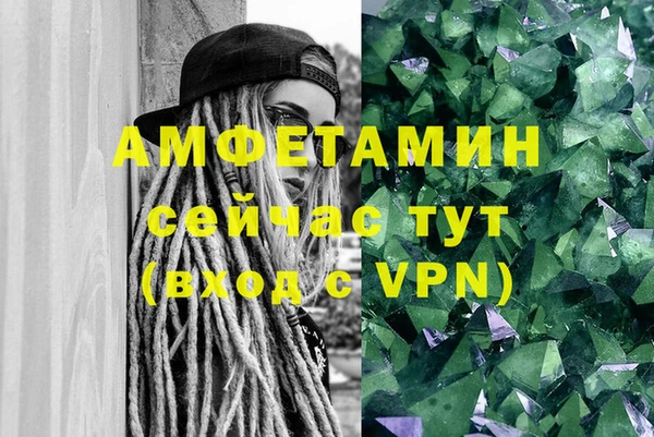 индика Балахна