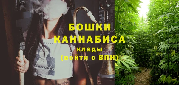 индика Балахна