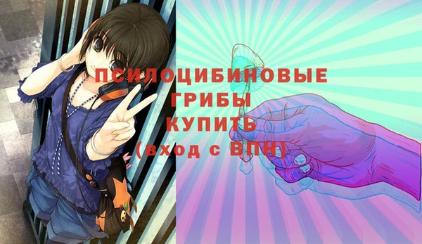 дмт Баксан