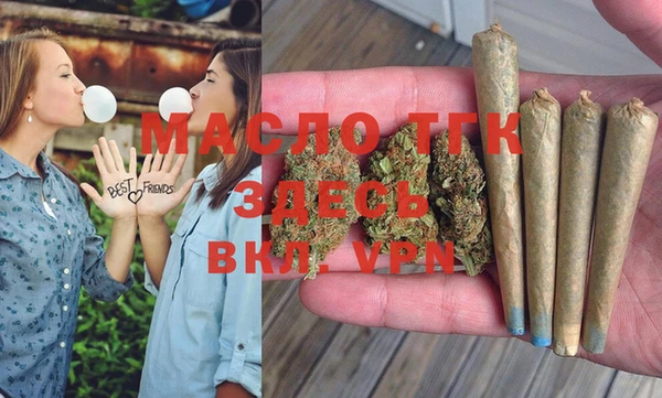 индика Балахна
